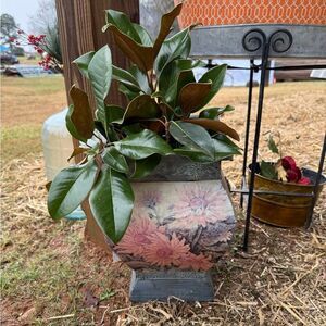 Floral Metal Planter with live Greenery